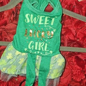 Festive Green Dog Dress with Shamrock Pattern Size Xsmall